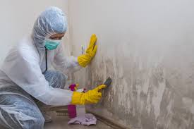 Best Industrial Mold Remediation  in Pepperdine University, CA